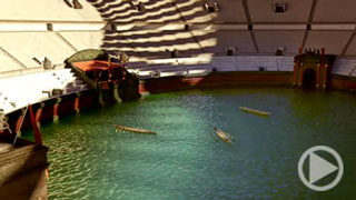 The Colosseum under Water